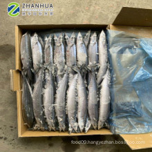 Frozen Pacific Saury Taiwan Seafood Companies 120-150g On Sale